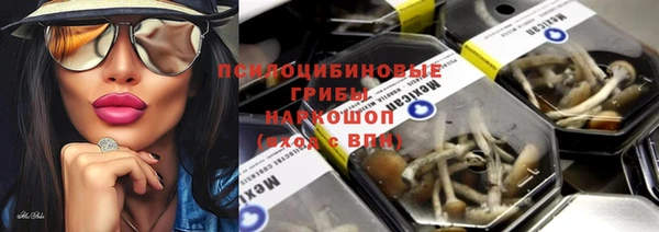 метадон Горняк