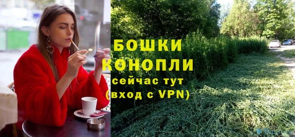 гидра Горнозаводск