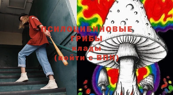 гидра Горнозаводск