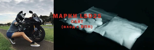 гидра Горнозаводск