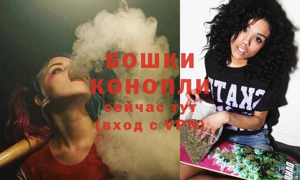 гидра Горнозаводск