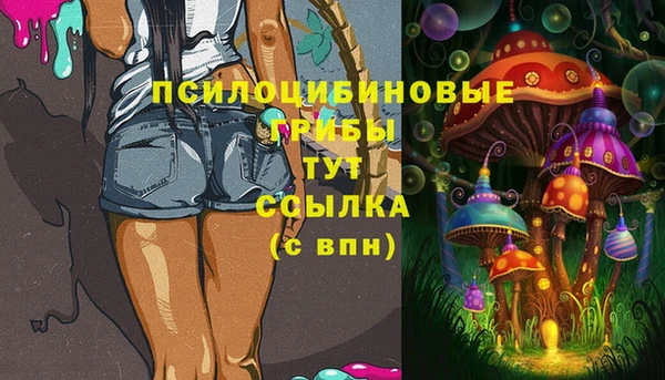 метадон Горняк