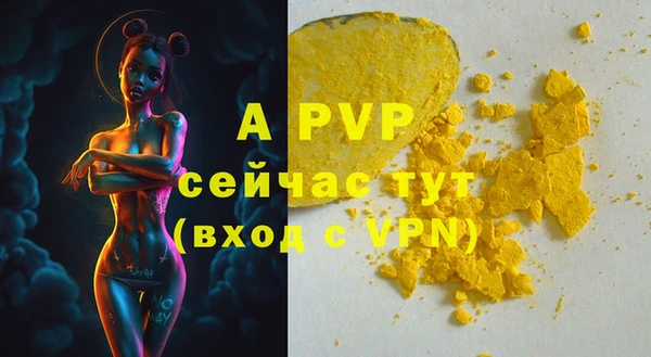 гидра Горнозаводск