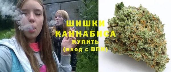 гидра Горнозаводск