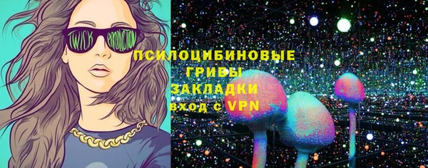 гидра Горнозаводск