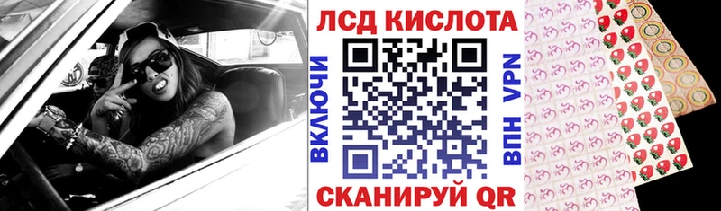 Купить где  Борзя  Марки N-bome 1,8мг 