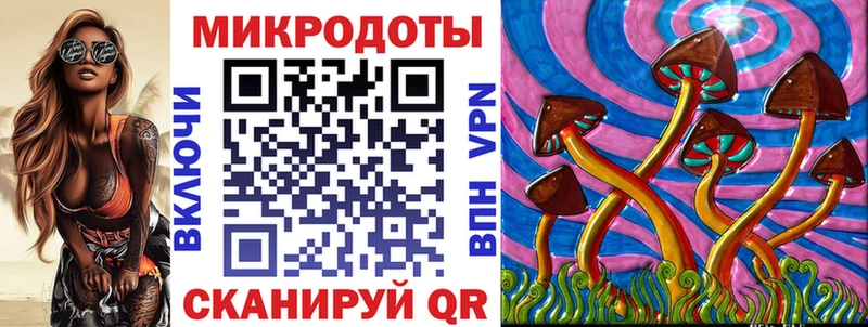 Купить где Борзя Галлюциногенные грибы GOLDEN TEACHER