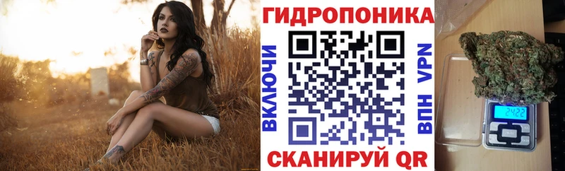 Купить закладки  Борзя  Канабис White Widow 
